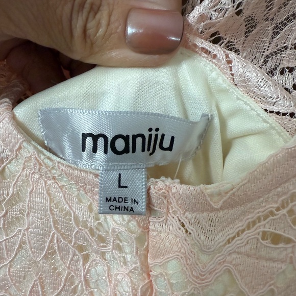 Elegant Lace  Dress in Cream and Pink - Picture 2 of 2